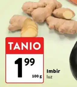 Intermarche Imbir oferta