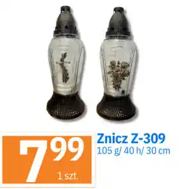 Znicz Z-309
