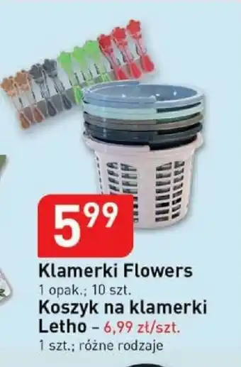 Stokrotka Klamerki Flowers oferta