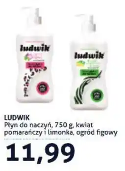 Blue Stop Płyn do naczyń Ludwik oferta