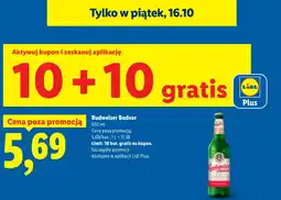 Lidl Piwo Budweiser Budvar oferta
