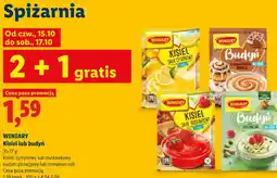 Lidl Winiary Kisiel lub budyń oferta