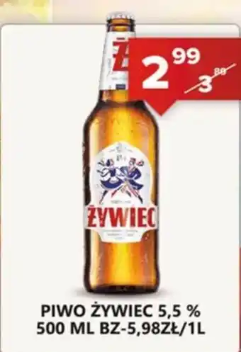 Piwo Żywiec