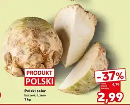 Kaufland Polski seler oferta