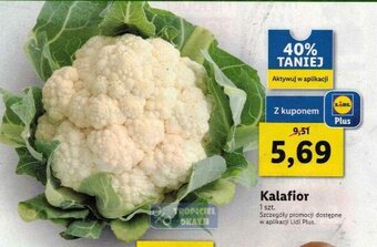 Lidl Kalafior 1szt. oferta