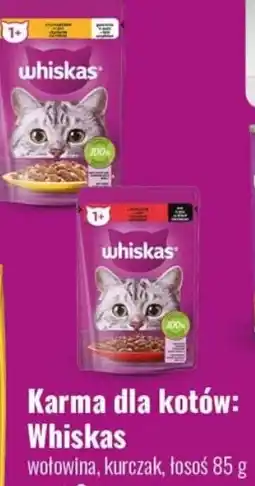 Eurocash Karma dla kotów: Whiskas oferta