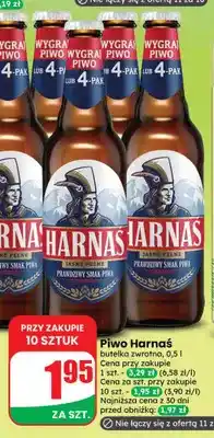 Dino Piwo Harnaś oferta