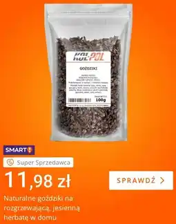 Allegro Naturalne goździki Kol-Pol oferta