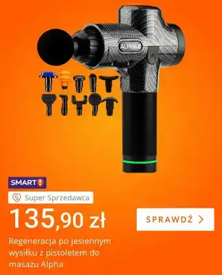Pistolet do masażu Alpha