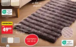Biedronka Dywan Smukee 115 x 60 cm oferta