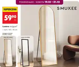 Biedronka Smukee Lustro stojące 125 x 35 cm oferta