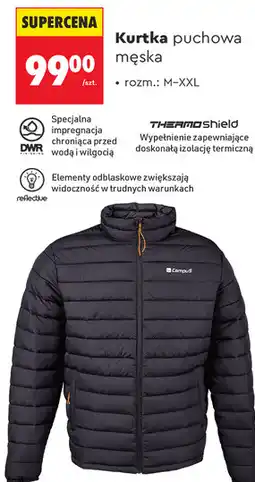 Biedronka Kurtka puchowa męska Campus oferta