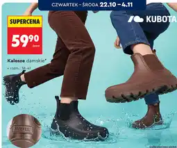 Biedronka Kalosze damskie Kubota oferta