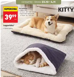 Biedronka Kitty Legowisko lub legowisko-śpiworek oferta