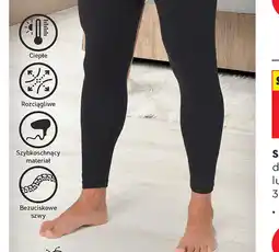 Biedronka Legginsy termoaktywne męskie Campus oferta
