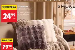Biedronka Poduszka dekoracyjna oferta