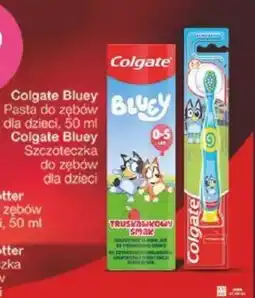 Sekret Urody Colgate Bluey Pasta do zębów dla dzieci oferta