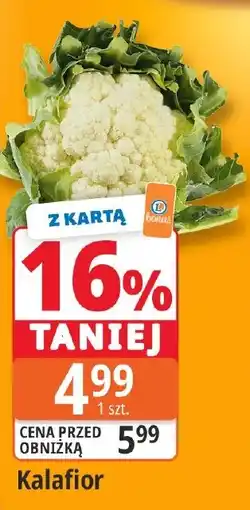 E.Leclerc Kalafior oferta