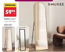 Biedronka Lustro stojące oferta
