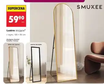 Lustro stojące