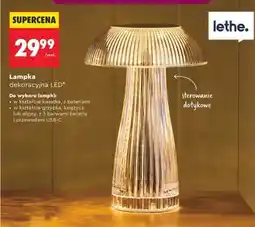 Biedronka Lampka dekoracyjna LED oferta