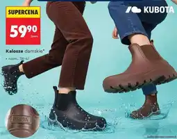 Biedronka Kalosze damskie oferta