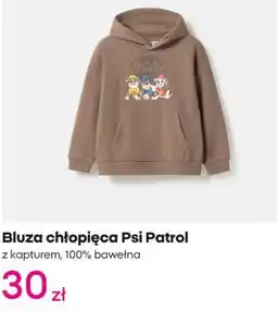 Pepco Bluza chłopięca Psi Patrol oferta