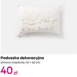 Pepco Poduszka dekoracyjna oferta