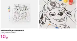 Pepco Malowanie po numerach z motywem Paw Patrol oferta