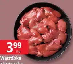 E.Leclerc Wątróbka z kurczaka oferta