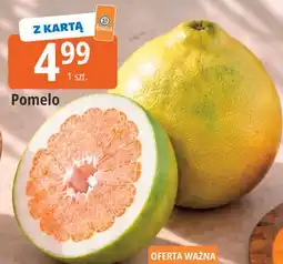 E.Leclerc Pomelo oferta