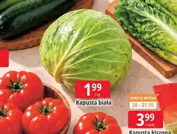 E.Leclerc Kapusta biała oferta