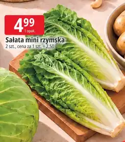 E.Leclerc Sałata mini rzymska oferta