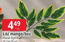 E.Leclerc Liść mango/bzu Floral Styl oferta