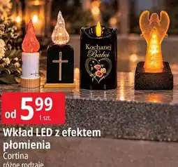 E.Leclerc Wkład LED z efektem płomienia Cortina oferta