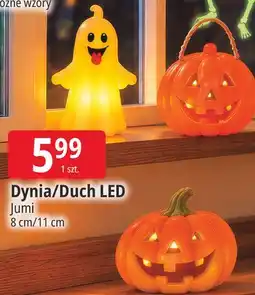 E.Leclerc Dynia/Duch LED Jumi oferta