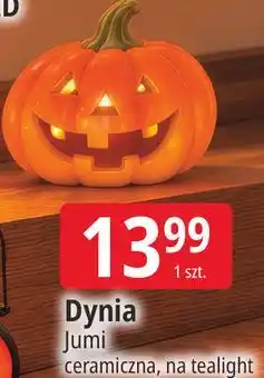E.Leclerc Dynia ceramiczna, na tealight Jumi oferta
