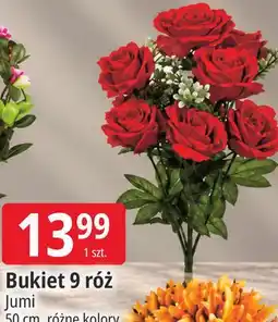 E.Leclerc Bukiet 9 róż Jumi oferta