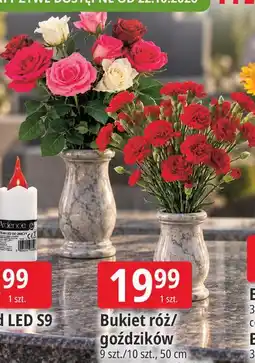 E.Leclerc Bukiet róż/goździków oferta