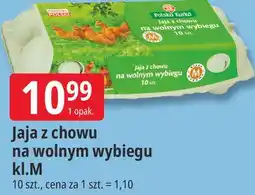 E.Leclerc Jaja z chowu na wolnym wybiegu kl.M Polska Kurka 10 szt oferta