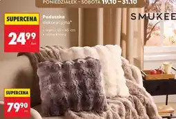Biedronka Poduszka dekoracyjna Smukee oferta
