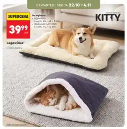Biedronka Legowisko Kitty 68x48x8 cm oferta