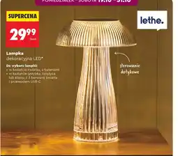 Biedronka Lampki LED Lethe oferta