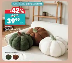 Biedronka Poduszka Domarex oferta