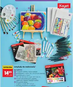 Biedronka 10 pędzli i paleta Kayet oferta