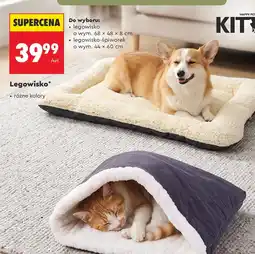 Biedronka Legowisko Kitty oferta