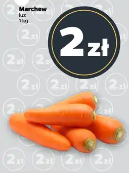 Netto Marchew luz oferta