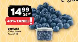 Netto Borówka oferta