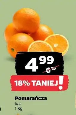 Netto Pomarańcza luz oferta