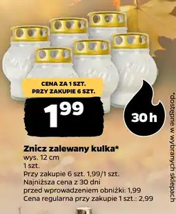 Netto Znicz zalewany kulka oferta